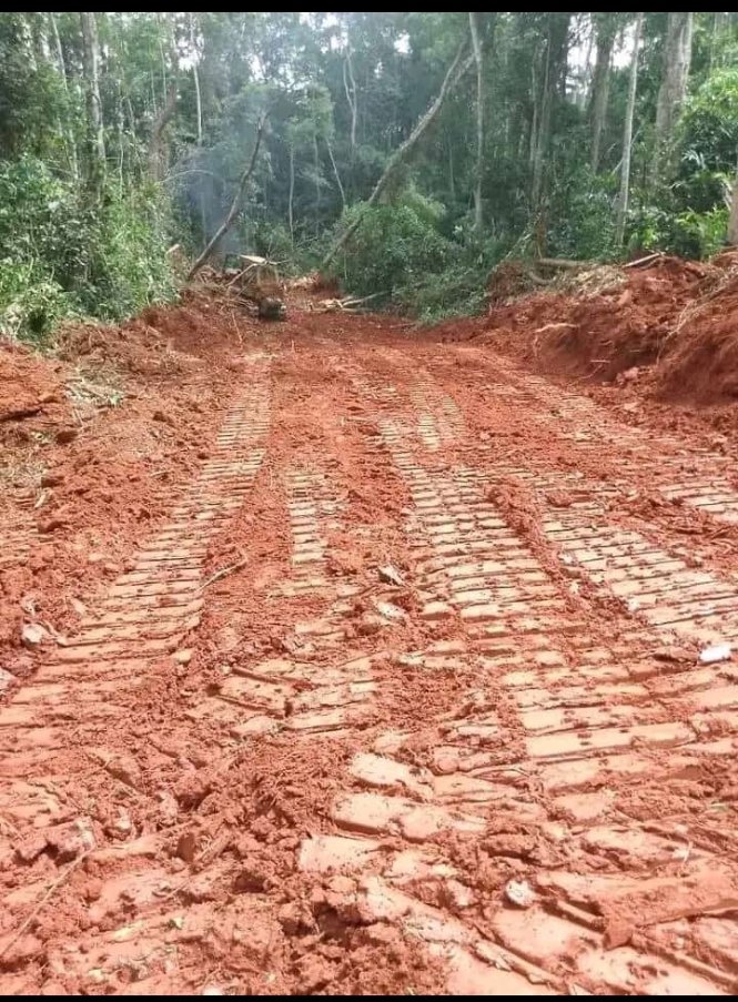 Terrain titré à vendre à Elat, Yaoundé