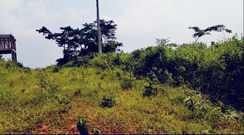 Terrain titré à vendre,  mbankomo, Yaoundé 