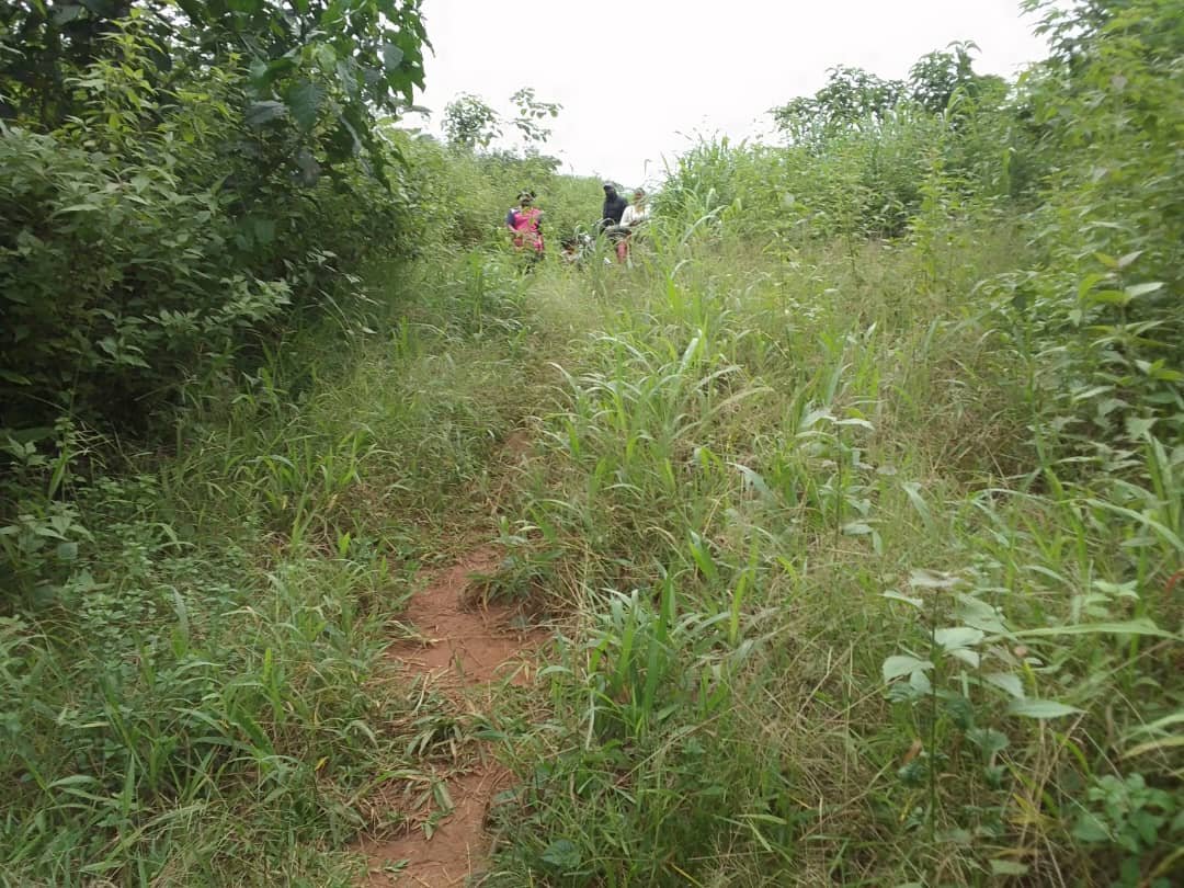 Terrain titré loti à vendre Nkoabang, Yaoundé. 