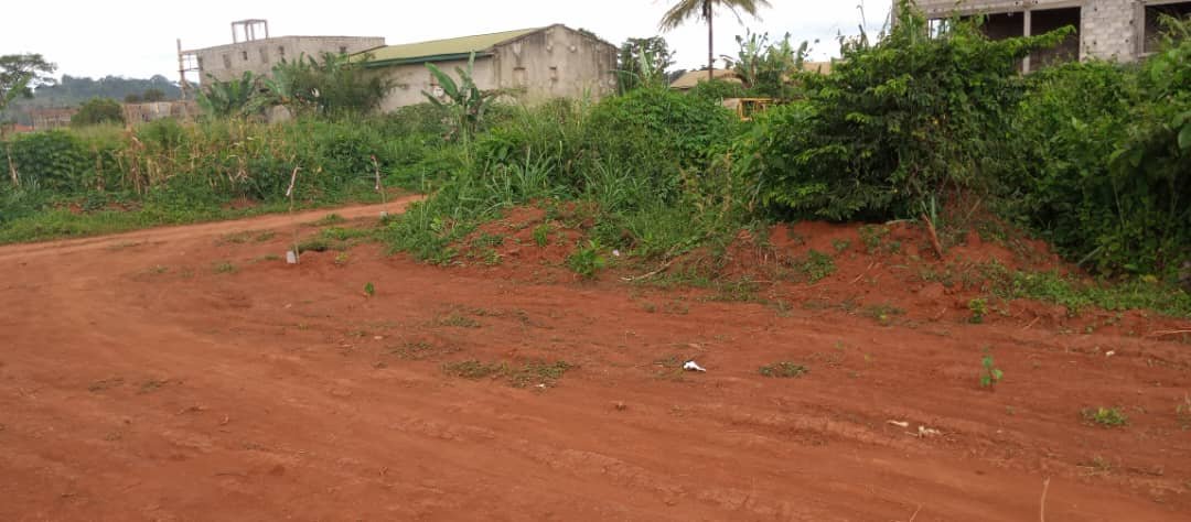  Terrain titré et lotis à Vendre à Soa, Yaoundé 