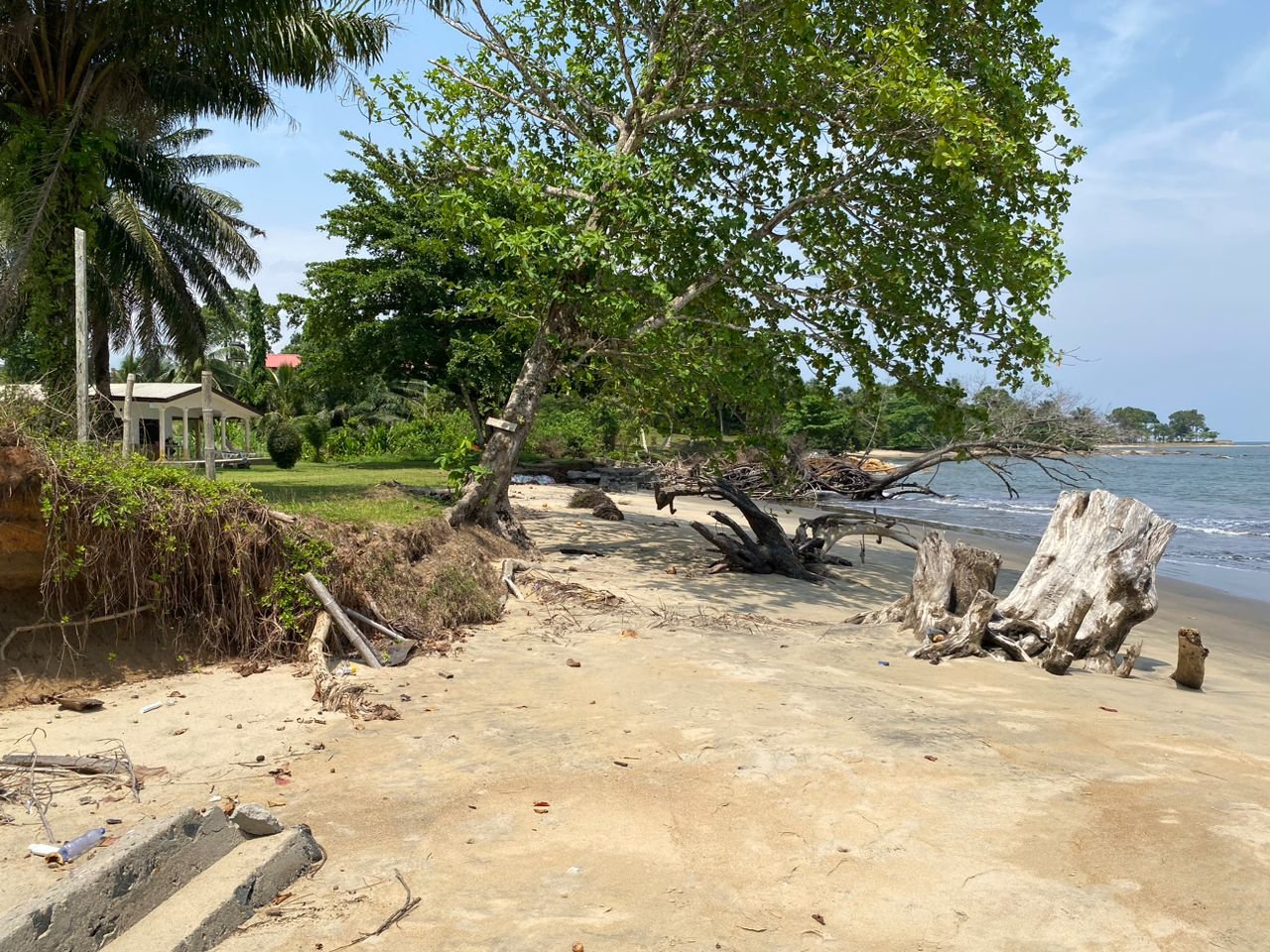 Terrain dans la clôture à vendre à Bebambwe ,Kribi