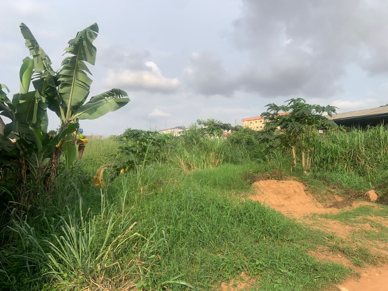 Terrain titré à vendre, Tradex Bastos, Yaoundé  