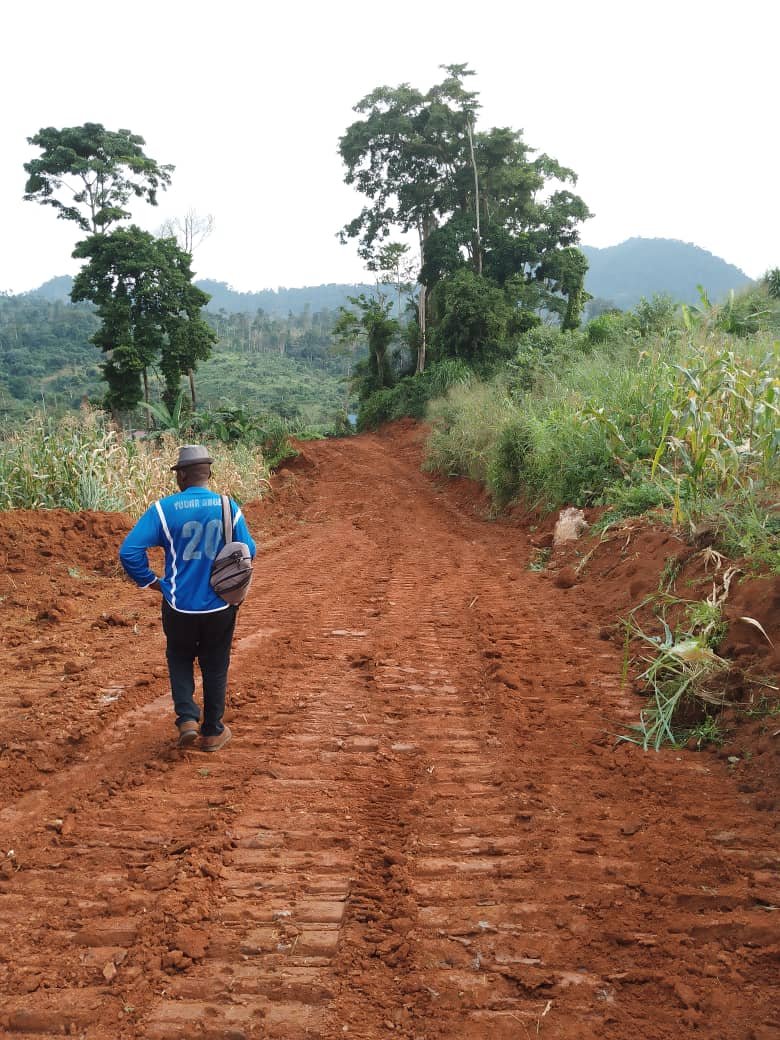 Terrain titré et lotis à Vendre à Nkolbisson, Yaoundé. 