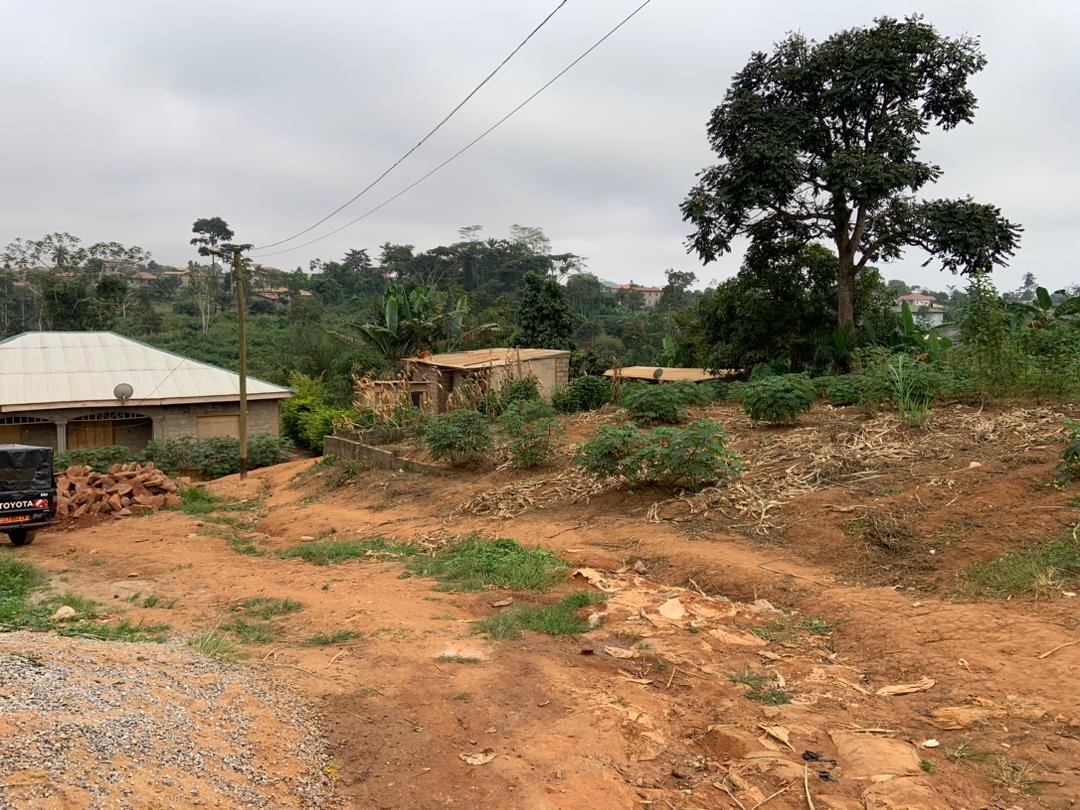 Terrain à vendre à Nkolfoulou, Yaoundé