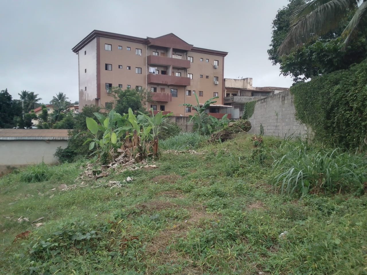 Terrain titré à vendre, Dragage, Yaoundé. 