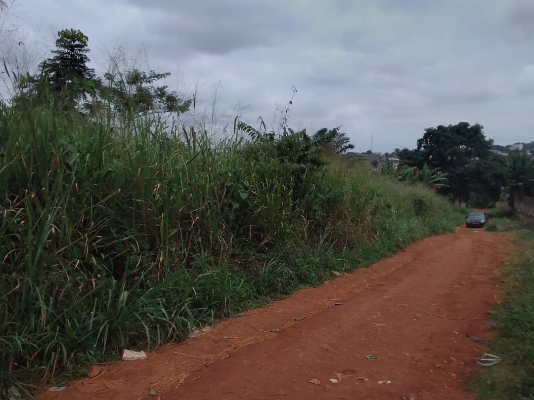 Terrain à vendre (2Lots) à Awae, Yaoundé. 