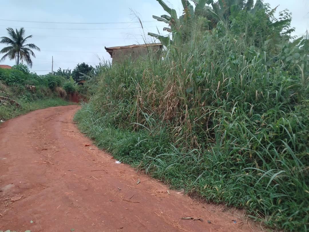 Terrain à vendre (2Lots) à Awae, Yaoundé. 