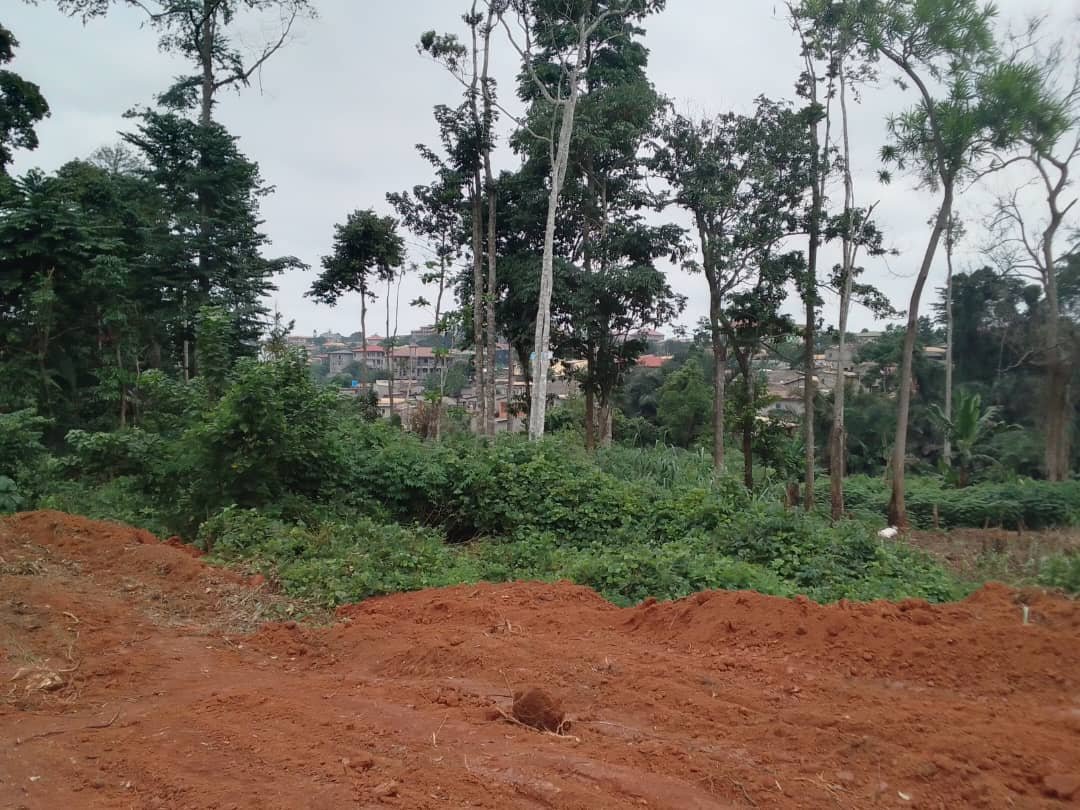 Terrain à vendre à  Awae derrière carrière, Yaoundé.