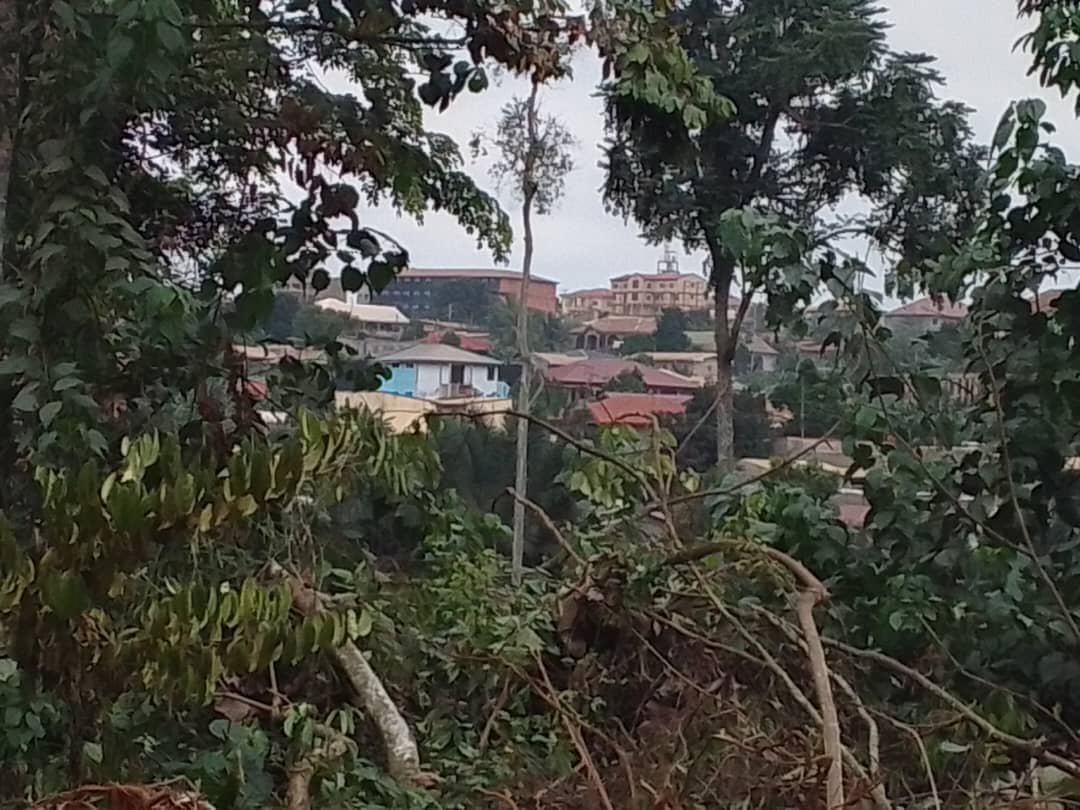 Terrain à vendre à  Awae derrière carrière, Yaoundé.