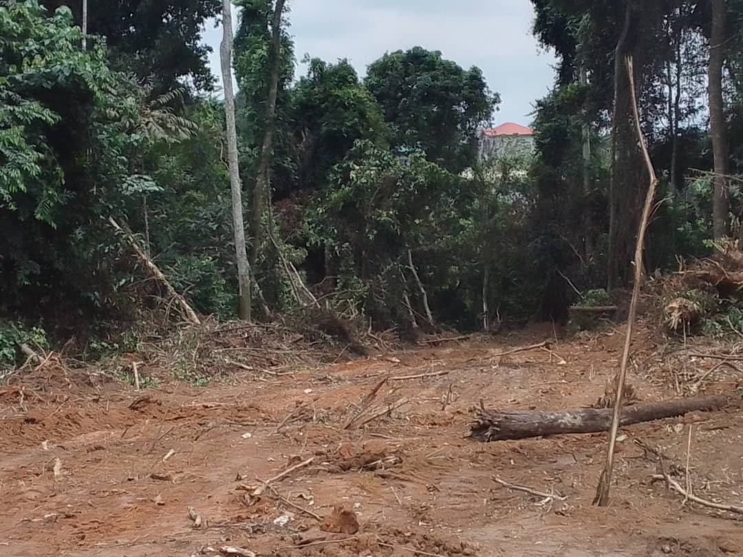 Terrain à vendre à Awae, derrière Monti au lieu dit Maxwell , Yaoundé.