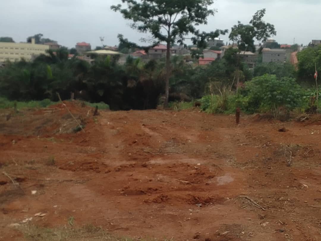 Terrain à vendre à Awae, derrière Monti au lieu dit Maxwell , Yaoundé.