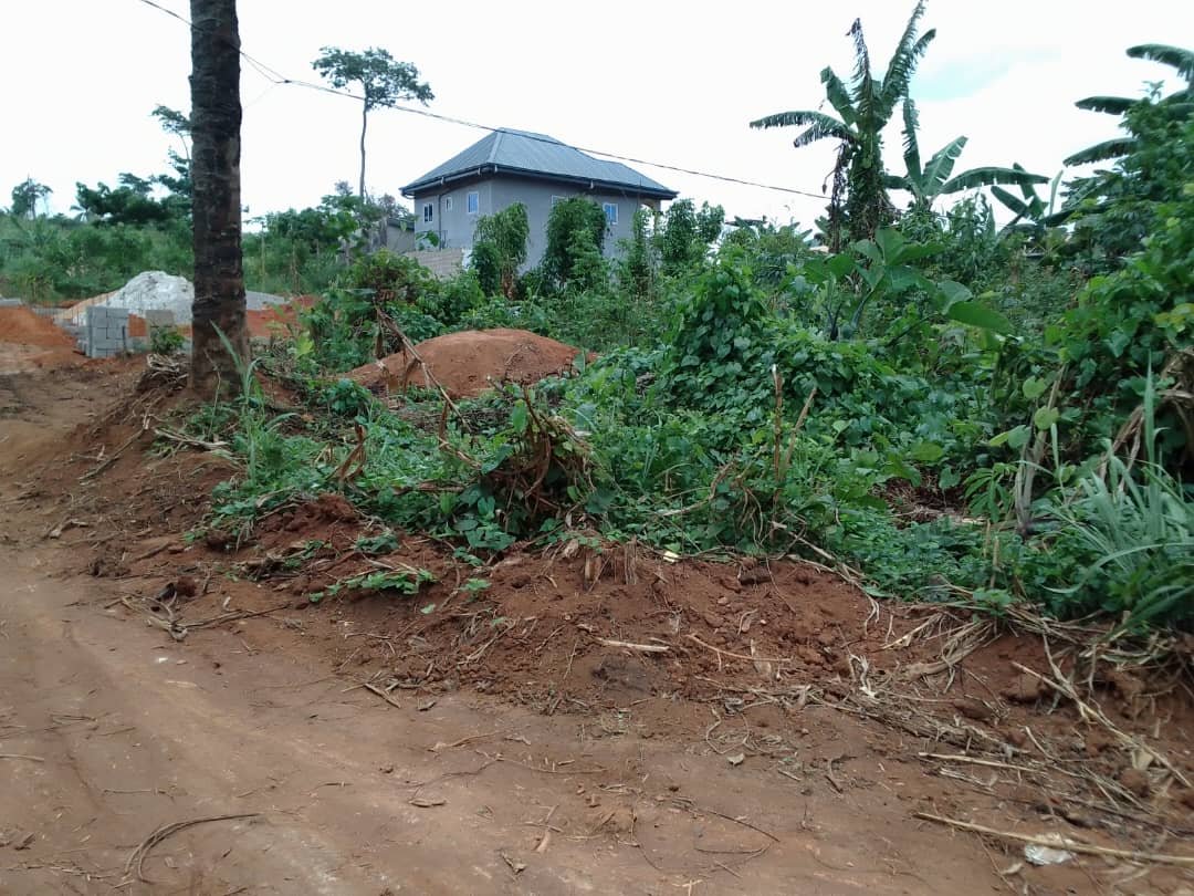 Terrain titré à vendre à Nkolnda, Yaoundé. 