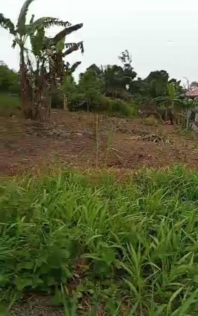 Terrain titré et lotis à Vendre à Nkolnda, Yaoundé. 
