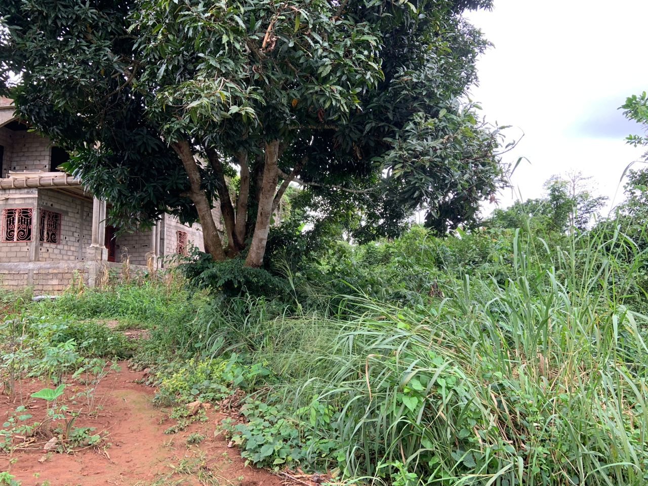 Terrain titré à vendre à Nyom avant le lycée, Yaoundé