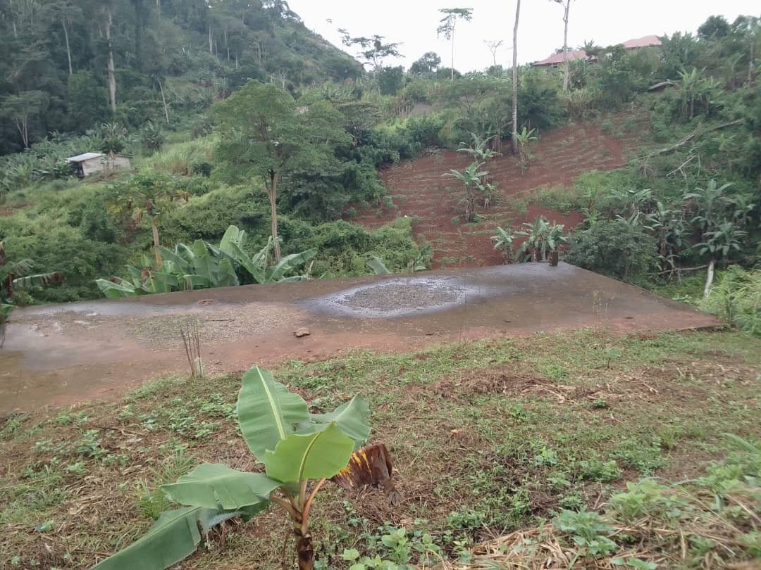 Terrain titré à vendre à Nkolbisson, Yaoundé