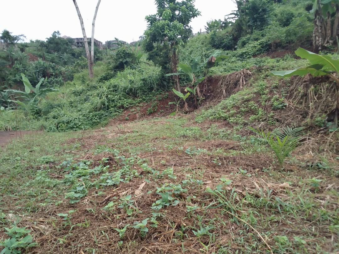 Terrain titré à vendre à Nkolbisson, Yaoundé