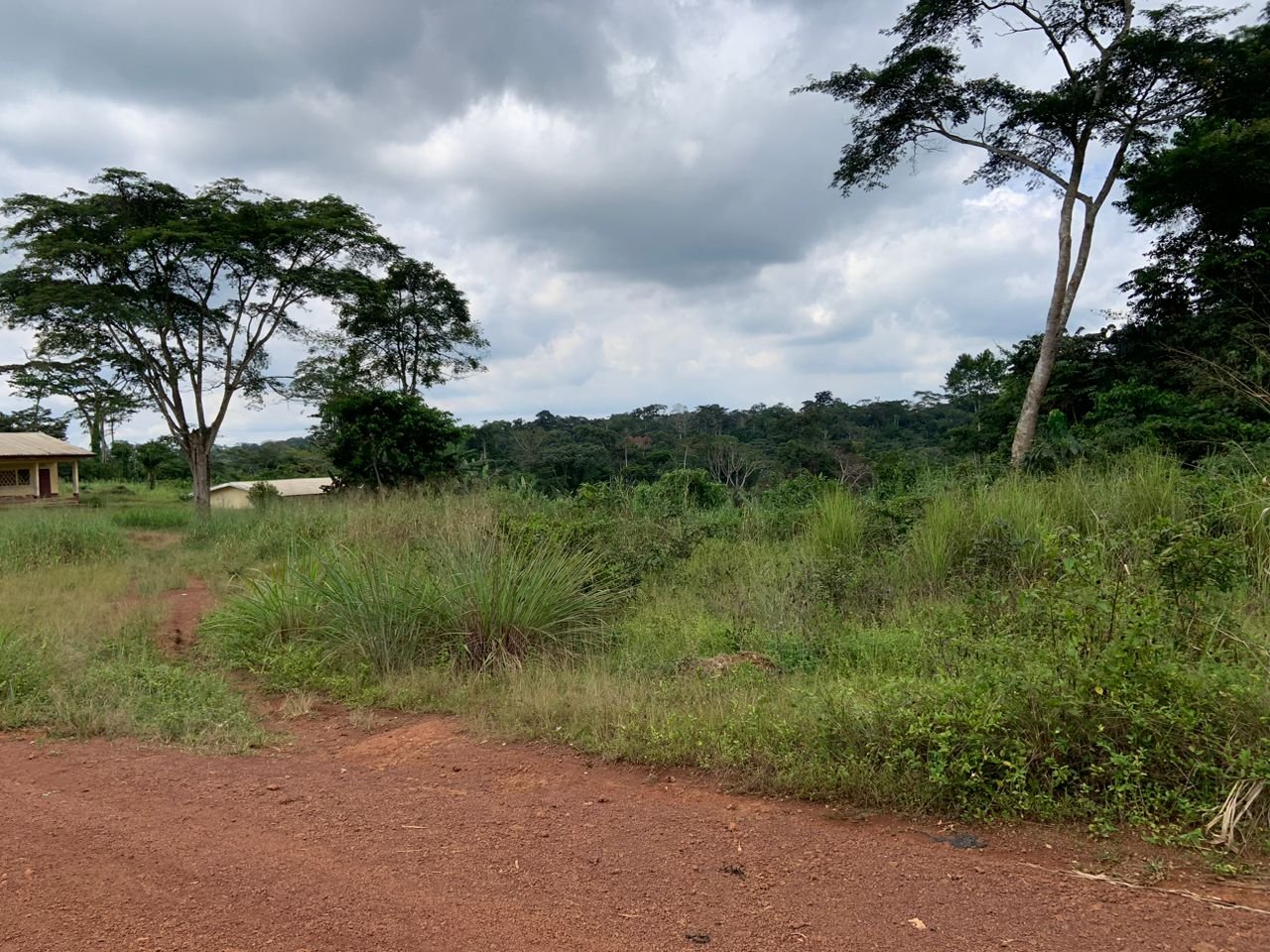 Terrain titré à vendre Elat, Yaoundé