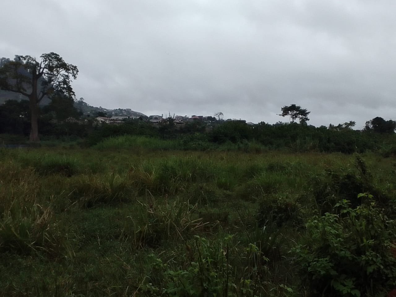 Terrain à vendre à Nkolbisson, Yaoundé