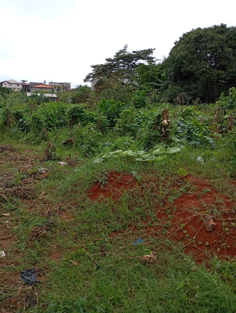 Terrain titré à vendre à Odza, Yaoundé 