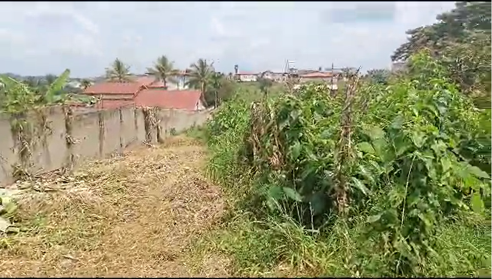 Terrain titré à vendre à Odza, Yaoundé 