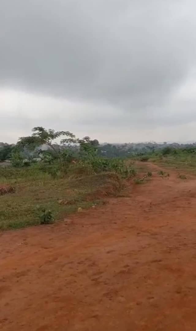 Terrain titré à vendre à Tsinga village, à Yaoundé,  
