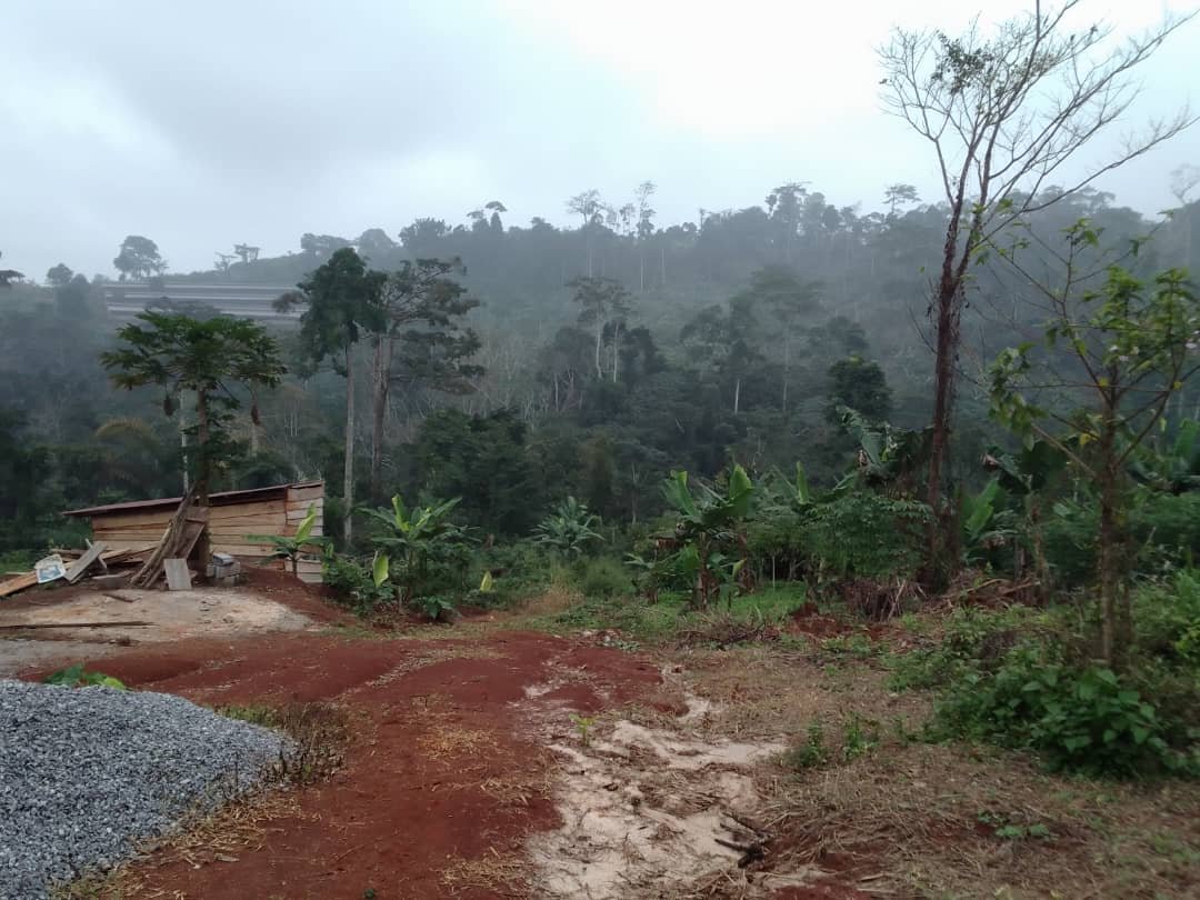 Terrain titré à vendre à nkolbisson lieudit Ozom1, Yaoundé 