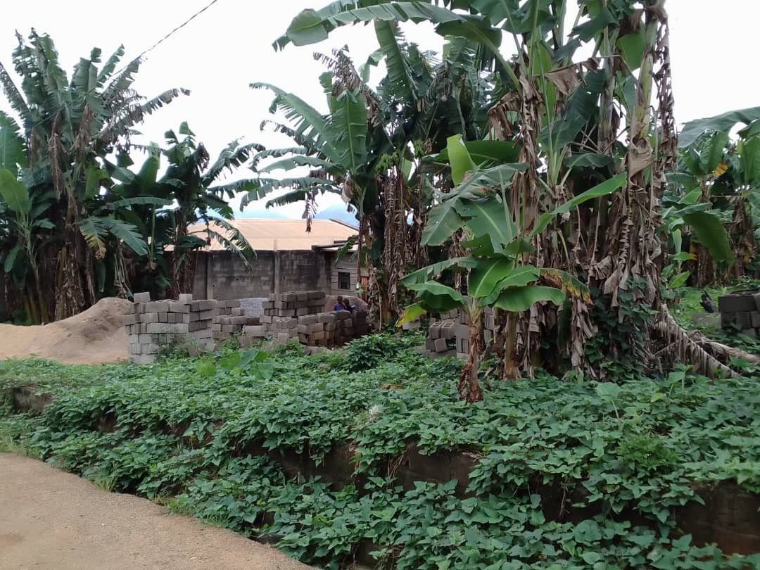 Terrain titré à vendre, à la nouvelle mairie Nkolbisson, Yaoundé 