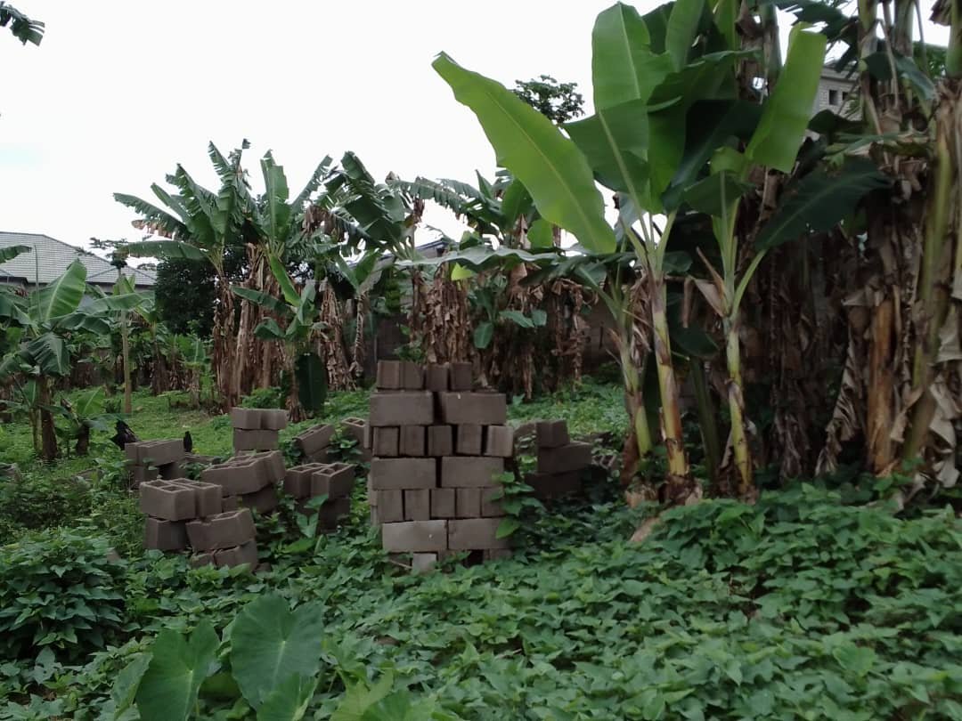 Terrain titré à vendre, à la nouvelle mairie Nkolbisson, Yaoundé 