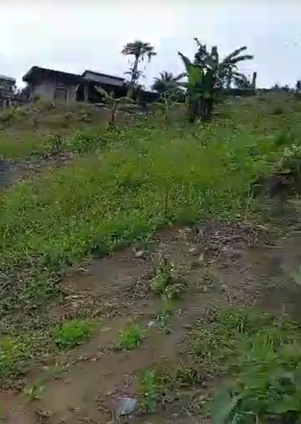 Terrain titre à  vendre, Nyalla Nkolmbong, Douala, 