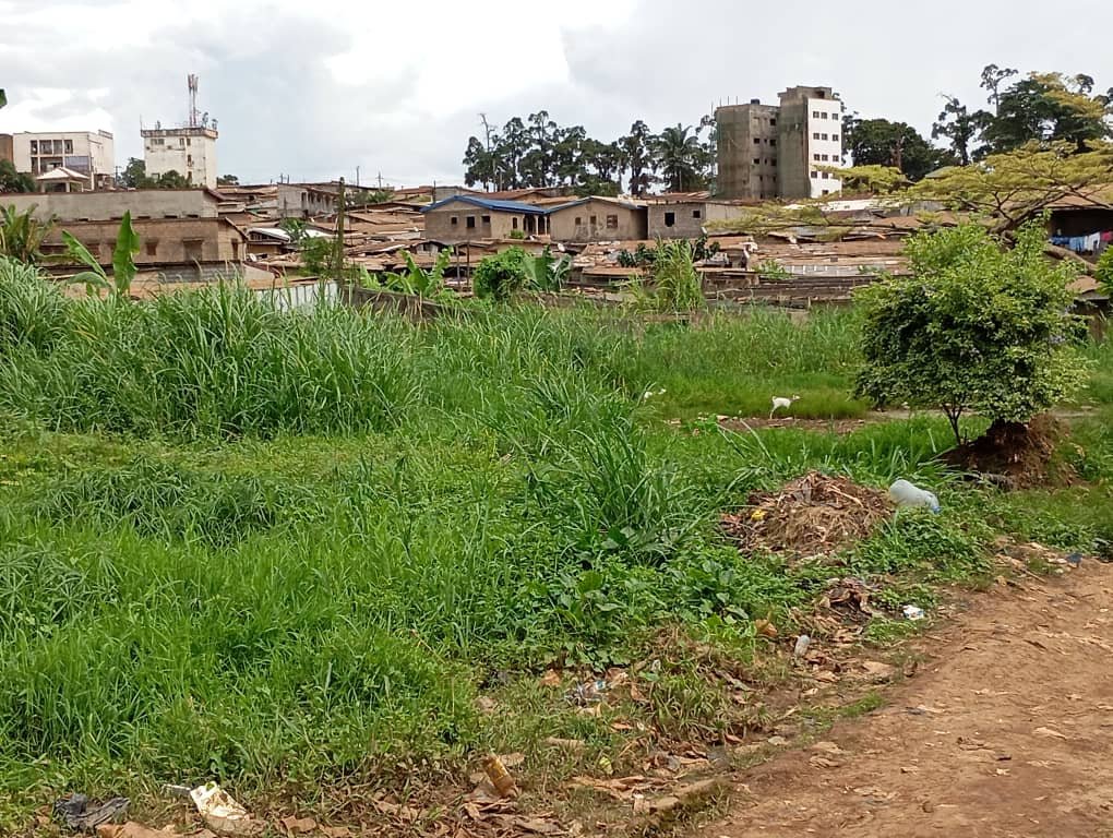 Terrain titré à vendre, Melen, Yaoundé 