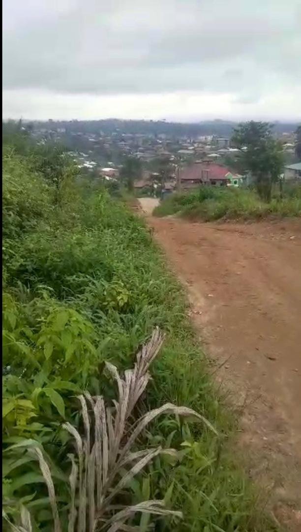 Terrain titré à vendre, Nkoabang, Yaoundé 