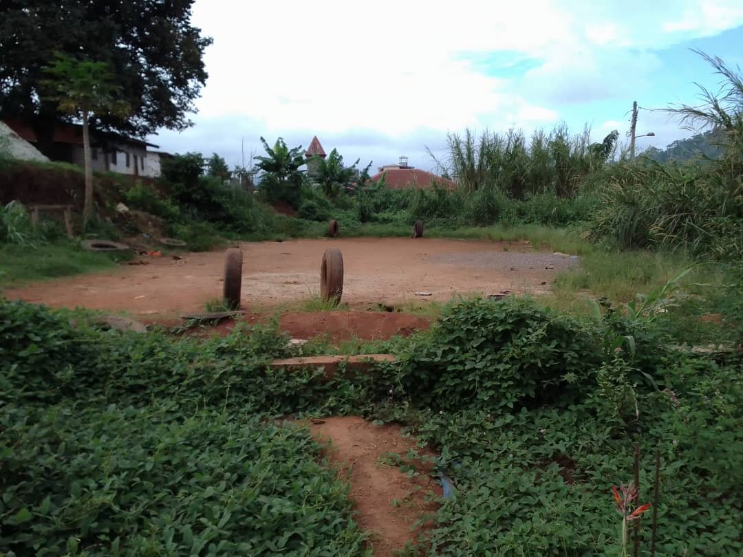 Terrain titré à vendre à béatitude, Yaoundé 