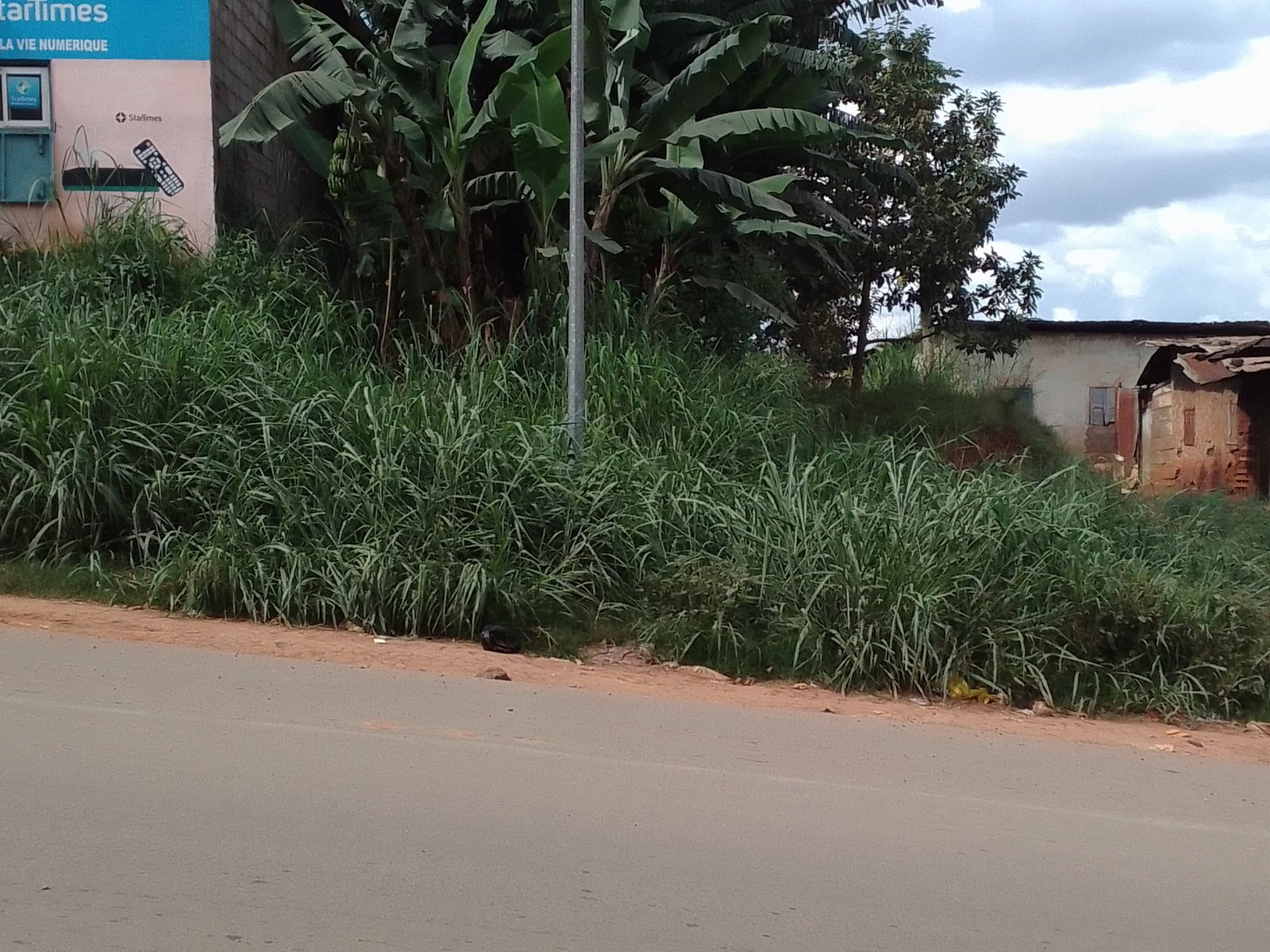 Terrain titré à vendre, Etoa meki, Yaoundé 