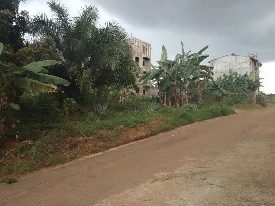 Terrain titré à vendre, nkolfoulou, Yaoundé 