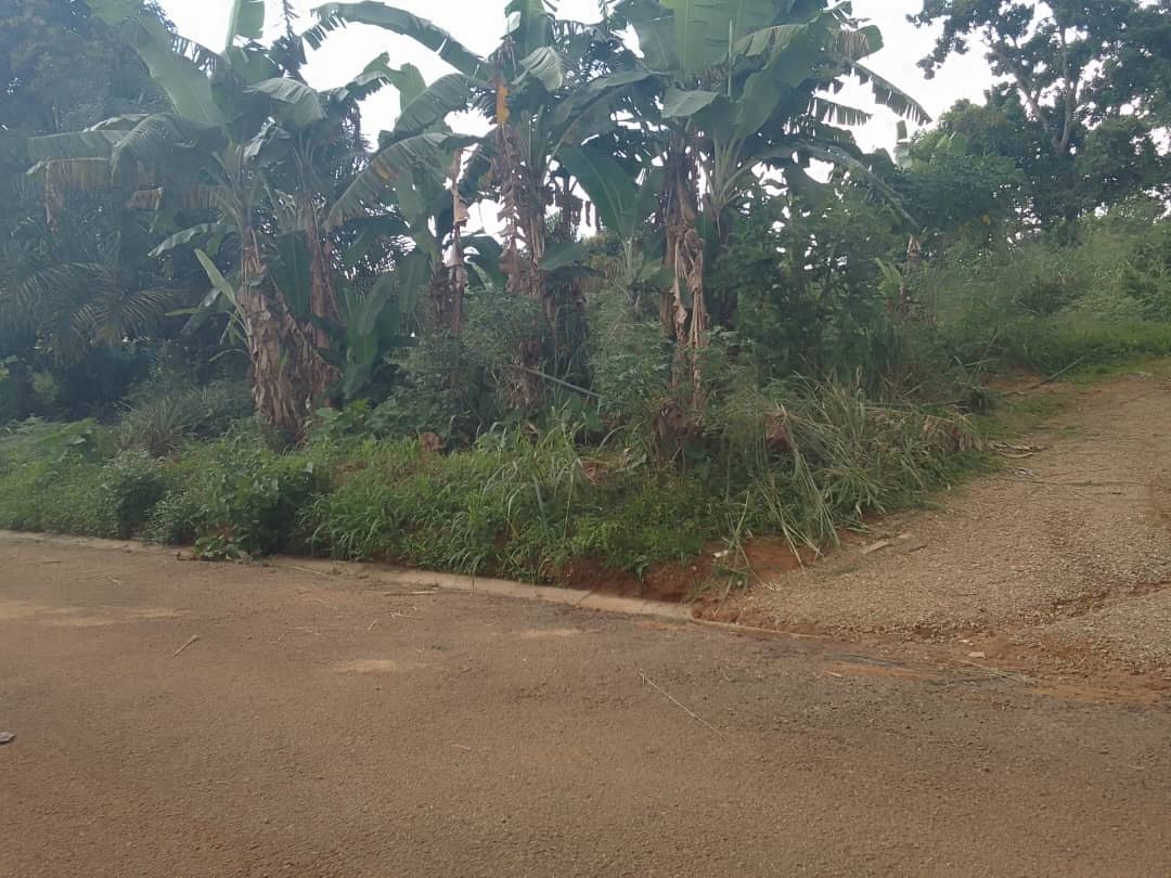Terrain titré à vendre, nkolfoulou, Yaoundé 