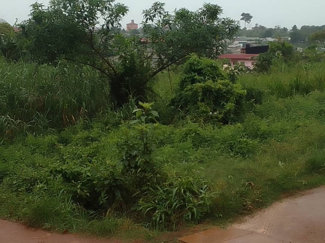 Terrain à vendre, Ekoumdoum, Yaoundé 