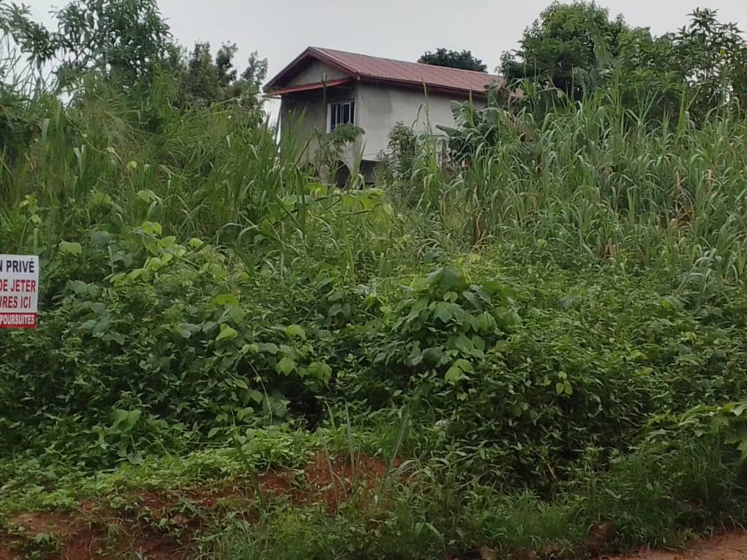 Terrain à vendre, Ekoumdoum, Yaoundé 