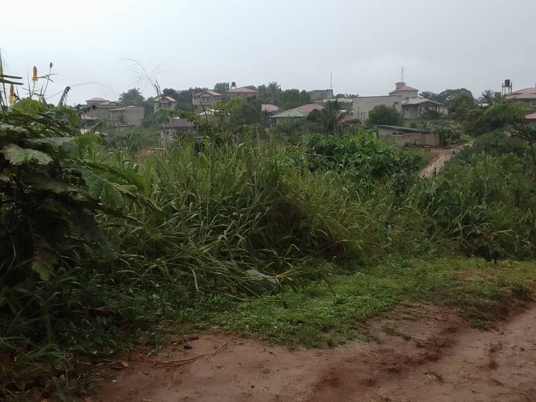 Terrain à vendre, Ekoumdoum, Yaoundé 