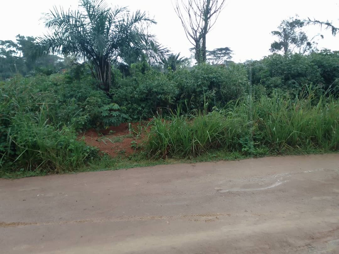 Terrain a vendre, Mfou, Yaoundé 