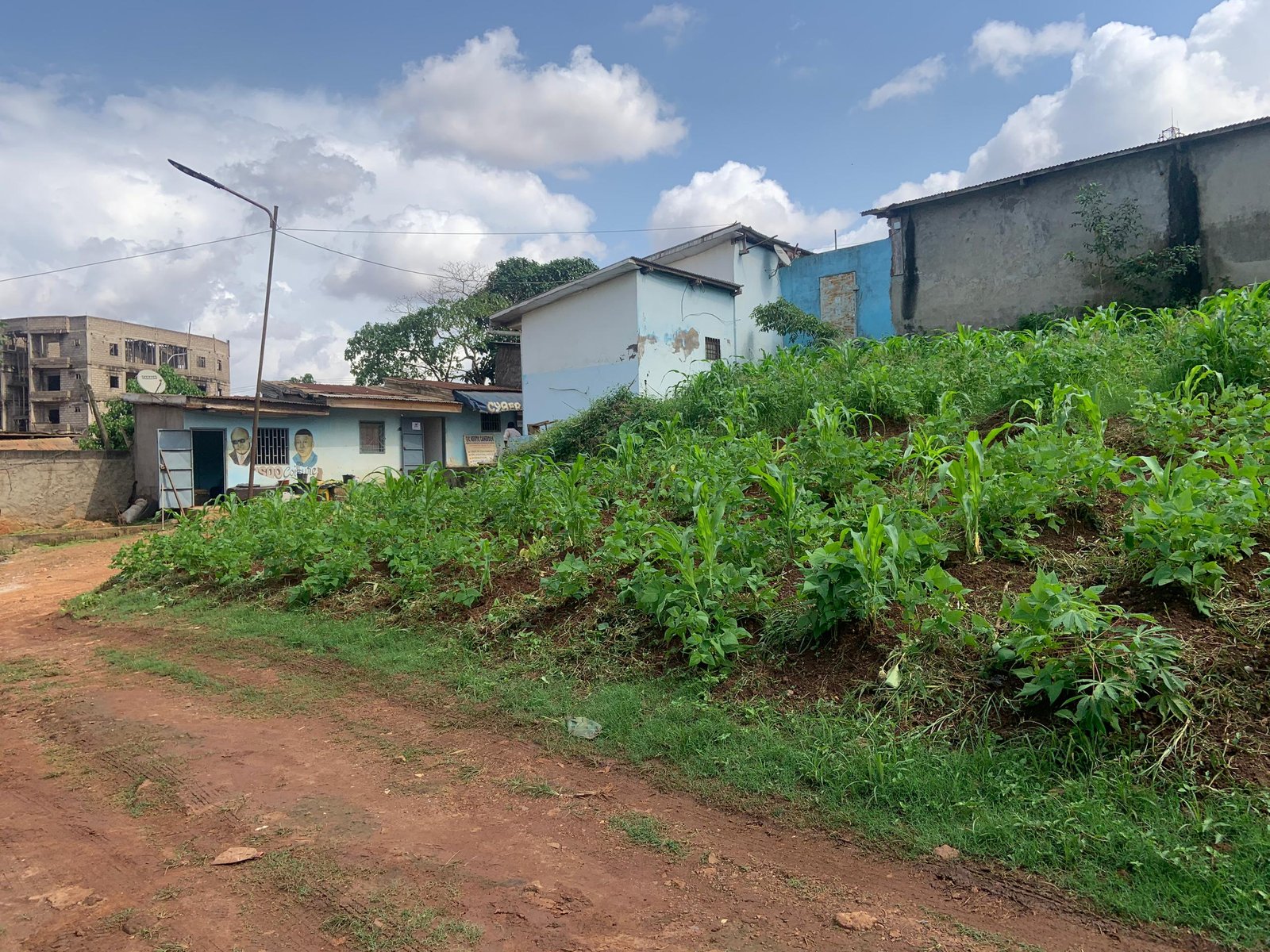 Terrain titré à louer, Etoa-meki, Yaoundé 