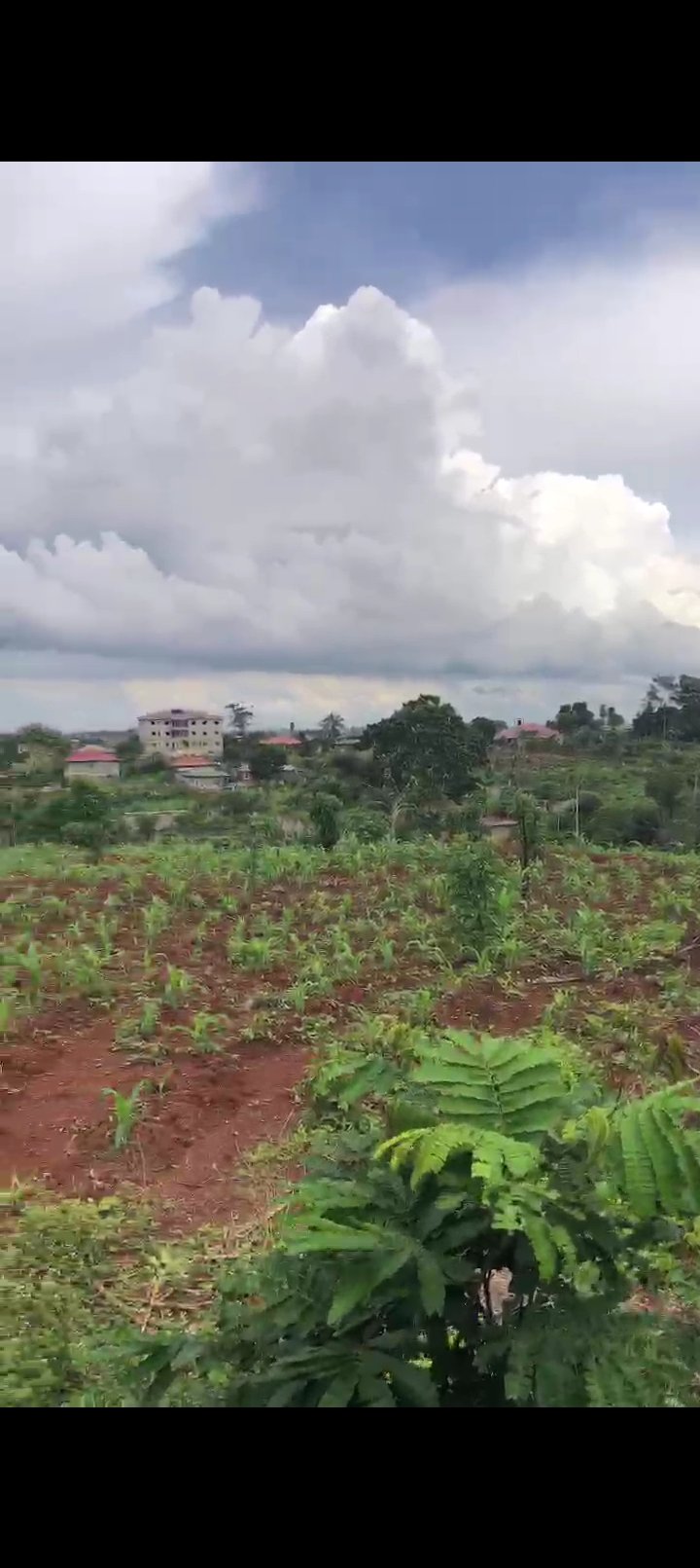 Terrain titré et lotis à vendre Odza Borne 10, Yaoundé