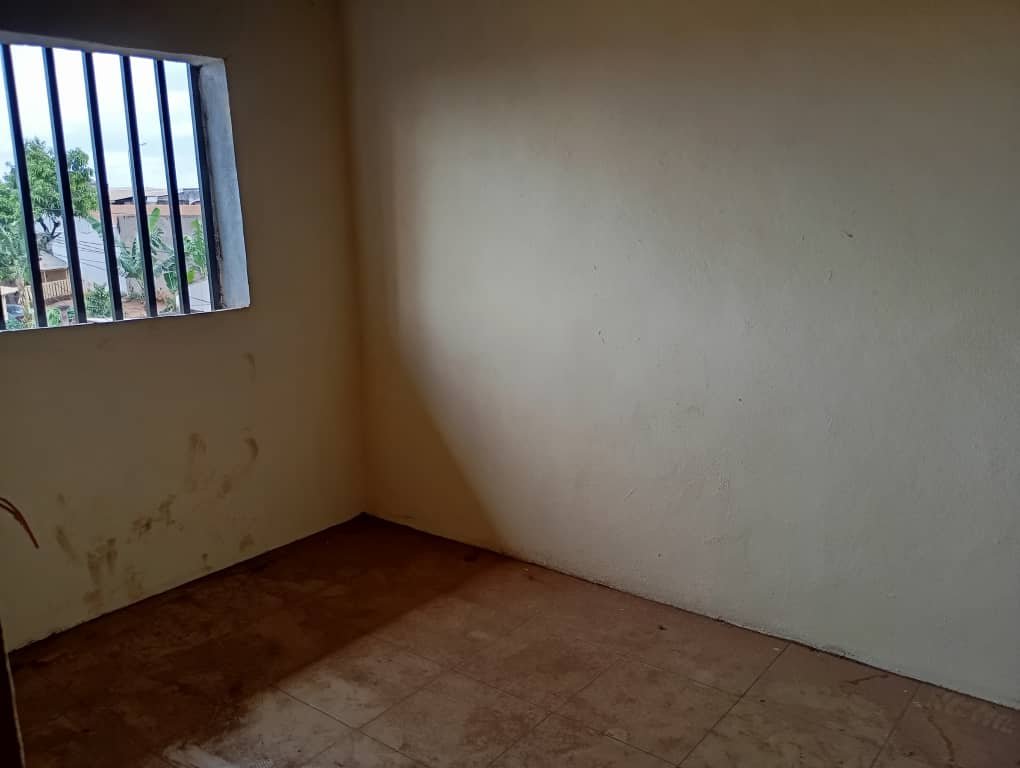 Appartement  à louer, Nkomo, Yaoundé 