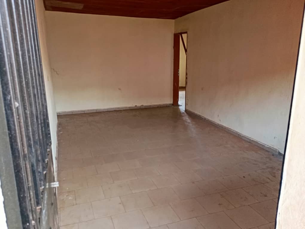 Appartement  à louer, Nkomo, Yaoundé 