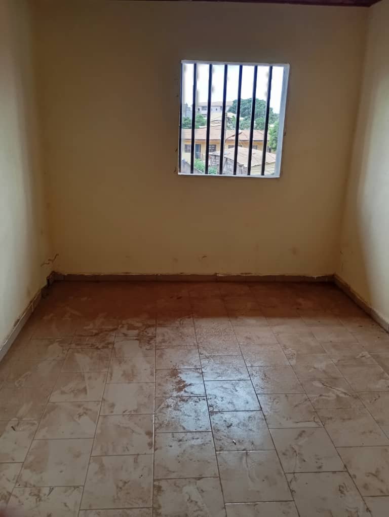 Appartement  à louer, Nkomo, Yaoundé 