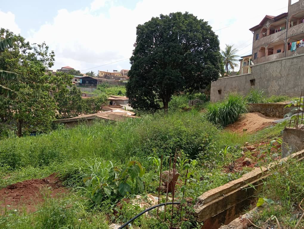 Terrain titré à vendre, Nkolbisson, Yaoundé 