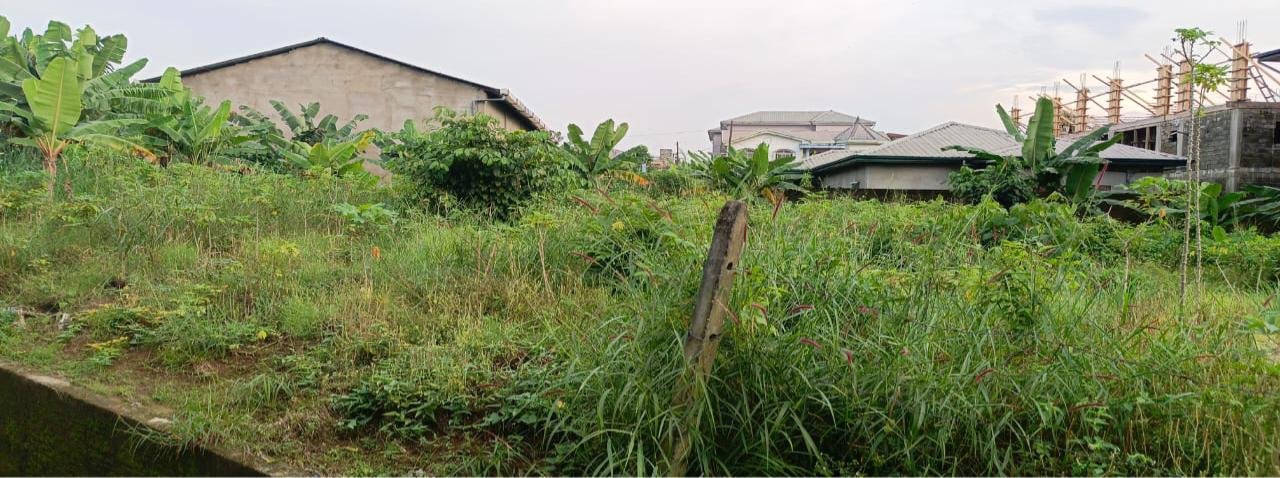 Terrain titré à vendre, Logbessou, Douala 