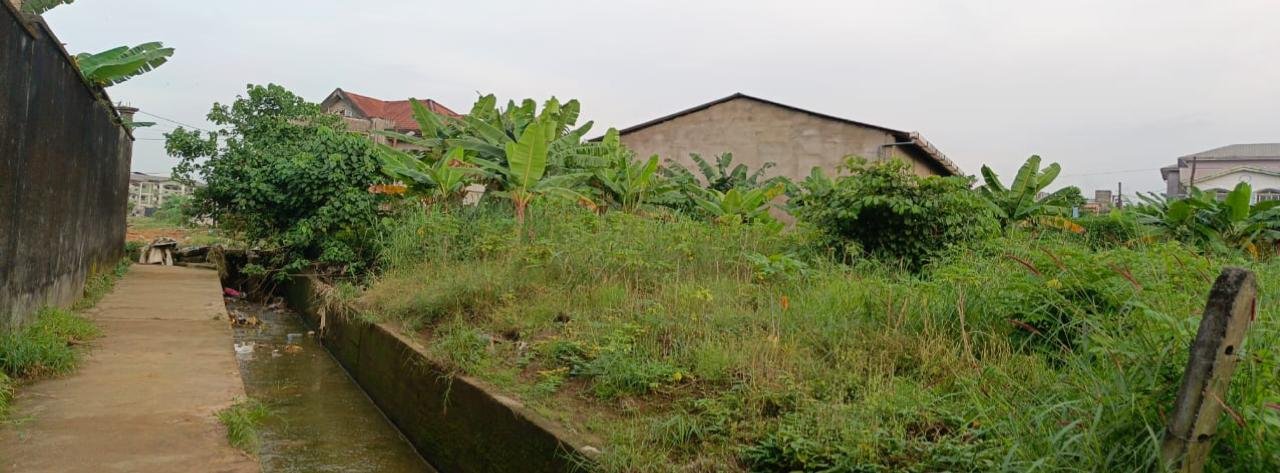 Terrain titré à vendre, Logbessou, Douala 