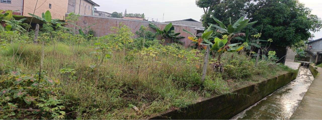 Terrain titré à vendre, Logbessou, Douala 