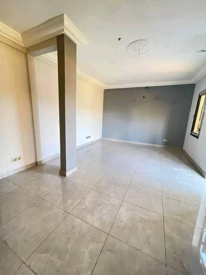 Appartement à louer, Nkolfoulou, Yaoundé 