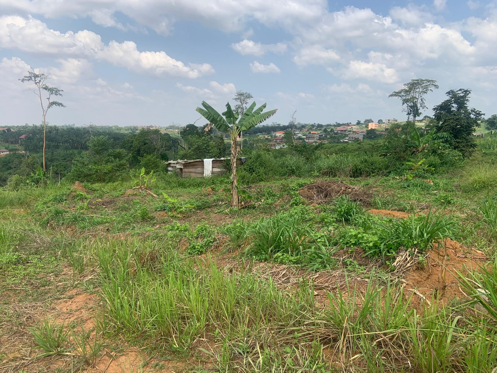 Terrain titré à vendre, Manassa, Yaoundé 